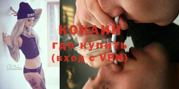 дурь Ельня