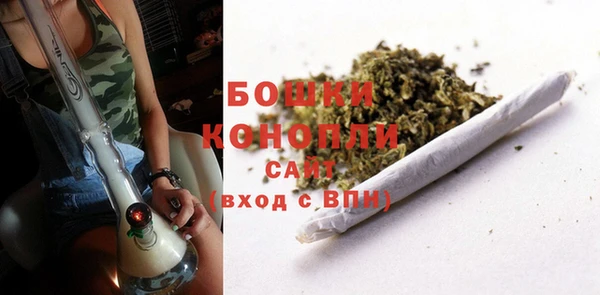 мдпв Дмитриев