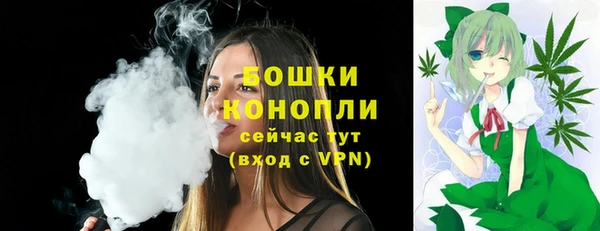 прущие грибы Заволжск