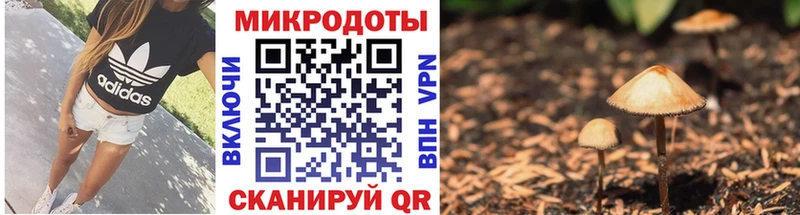 Псилоцибиновые грибы Magic Shrooms Бугуруслан